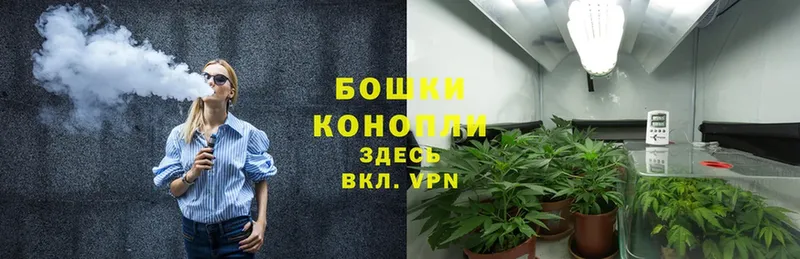 Шишки марихуана White Widow  Москва 